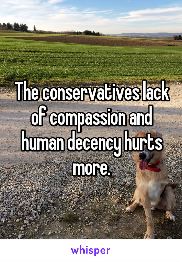 The conservatives lack of compassion and human decency hurts more.