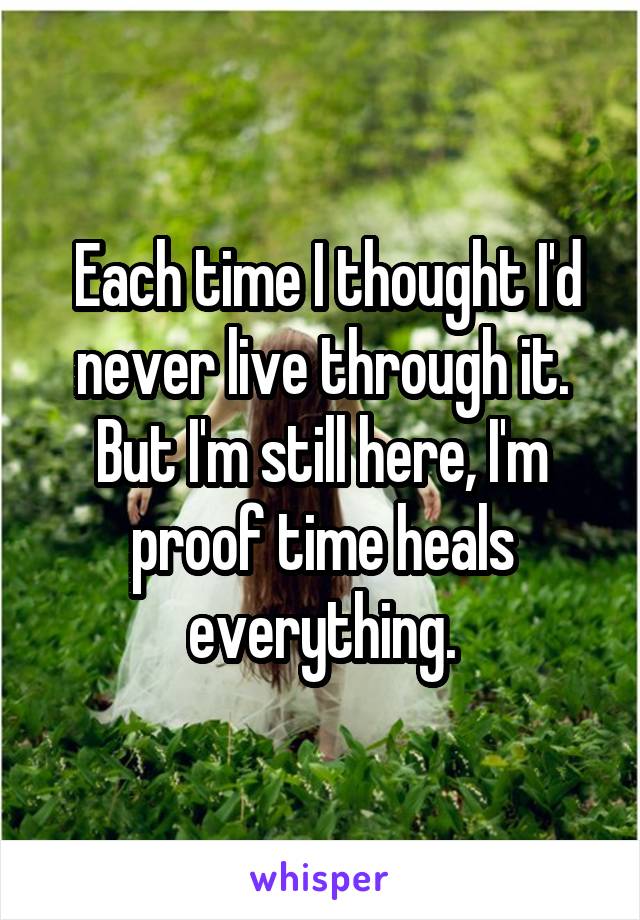  Each time I thought I'd never live through it. But I'm still here, I'm proof time heals everything.