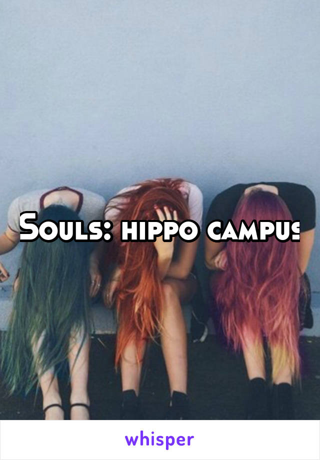 Souls: hippo campus