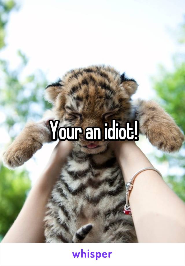 Your an idiot!