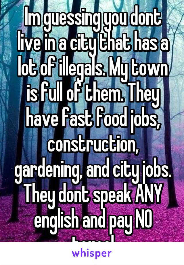 Im guessing you dont live in a city that has a lot of illegals. My town is full of them. They have fast food jobs, construction, gardening, and city jobs. They dont speak ANY english and pay NO taxes!