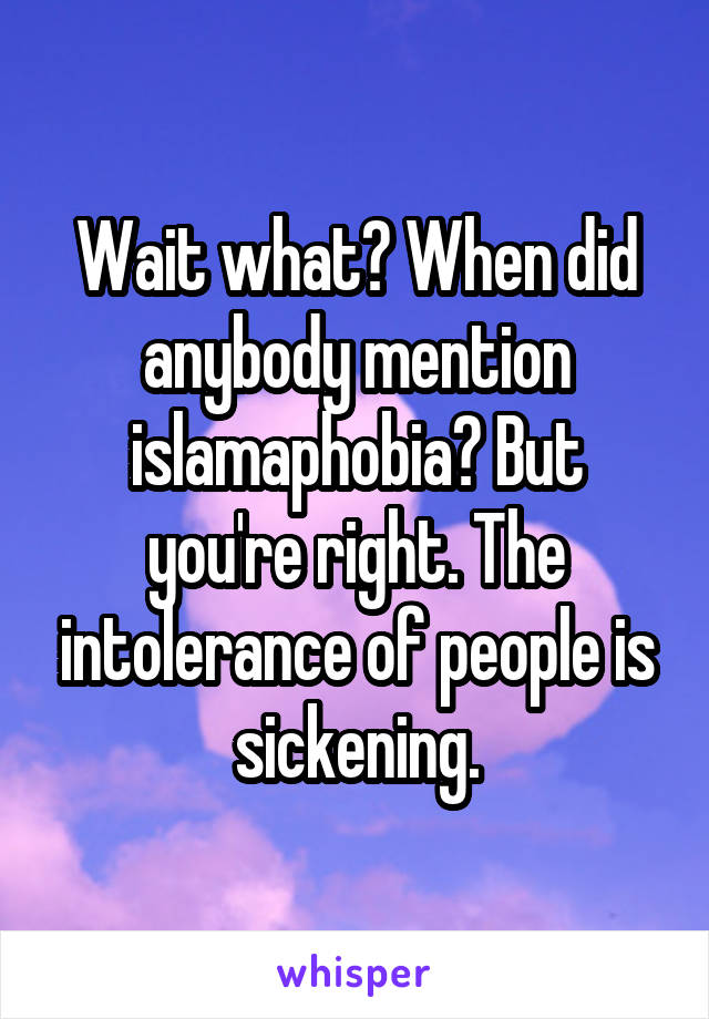 Wait what? When did anybody mention islamaphobia? But you're right. The intolerance of people is sickening.