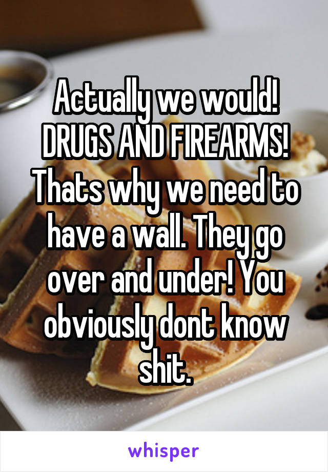 Actually we would! DRUGS AND FIREARMS! Thats why we need to have a wall. They go over and under! You obviously dont know shit.