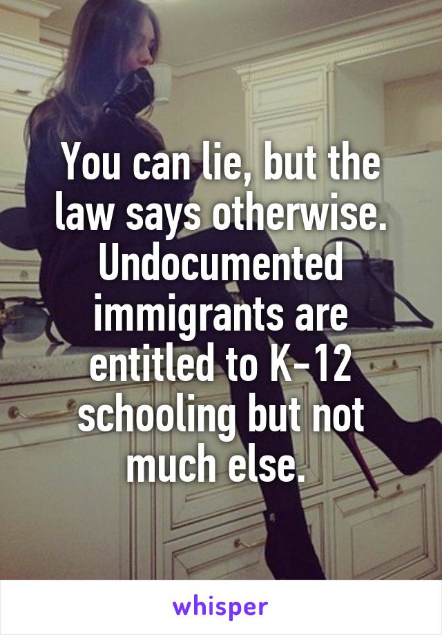 You can lie, but the law says otherwise. Undocumented immigrants are entitled to K-12 schooling but not much else. 