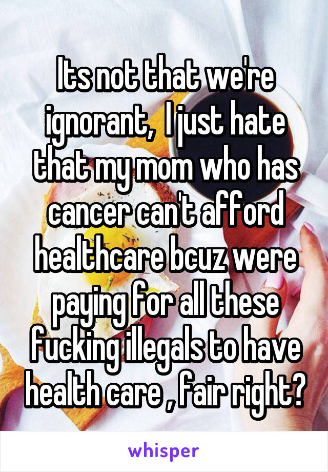 Its not that we're ignorant,  I just hate that my mom who has cancer can't afford healthcare bcuz were paying for all these fucking illegals to have health care , fair right?