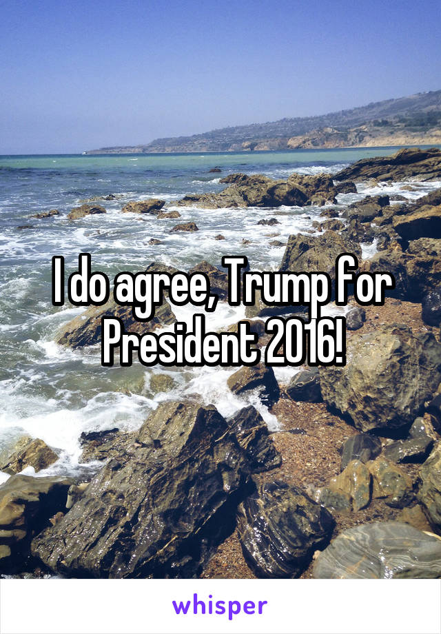 I do agree, Trump for President 2016!