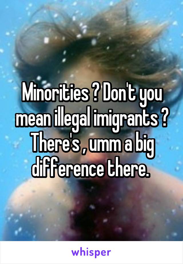 Minorities ? Don't you mean illegal imigrants ? There's , umm a big difference there. 