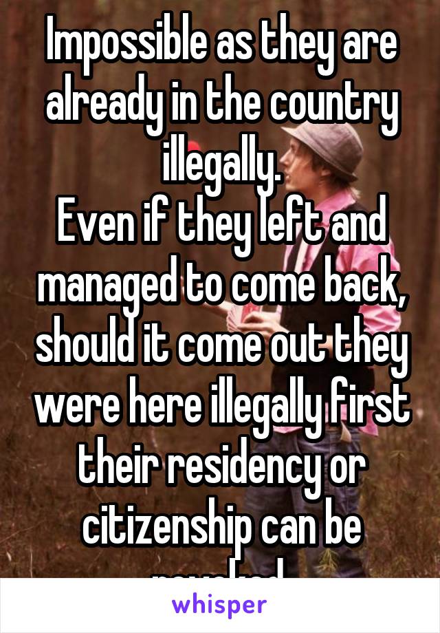 Impossible as they are already in the country illegally.
Even if they left and managed to come back, should it come out they were here illegally first their residency or citizenship can be revoked.