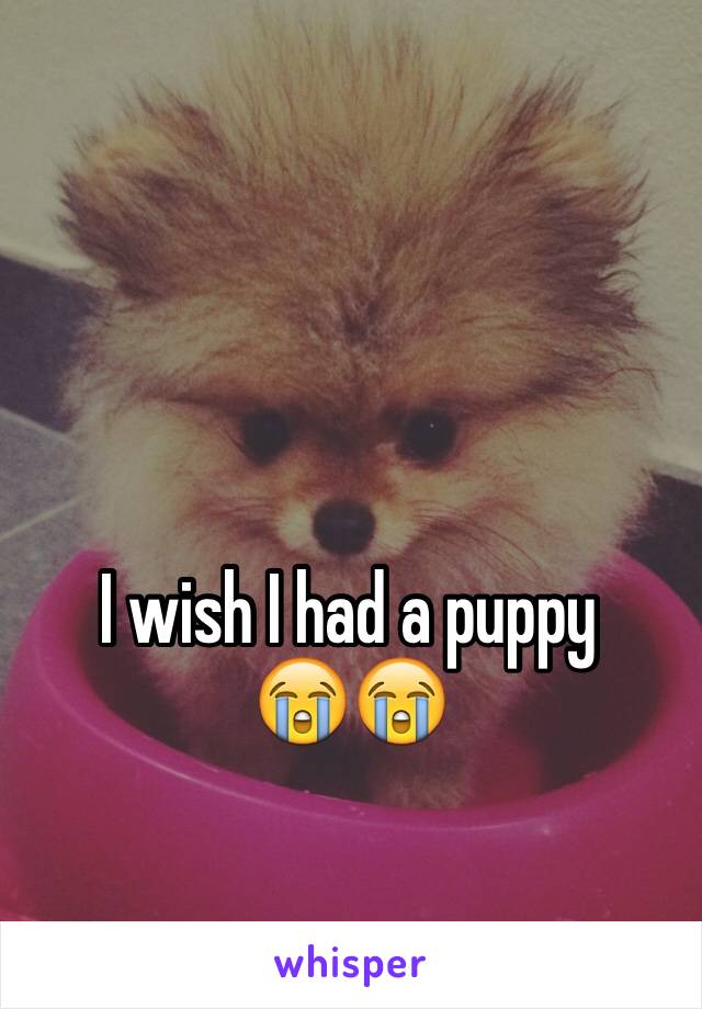 


I wish I had a puppy 
😭😭