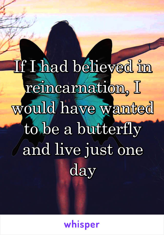 If I had believed in reincarnation, I would have wanted to be a butterfly and live just one day