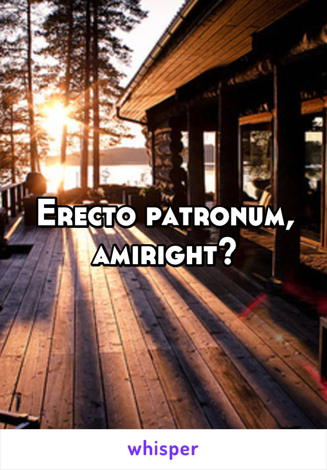 Erecto patronum, amiright?