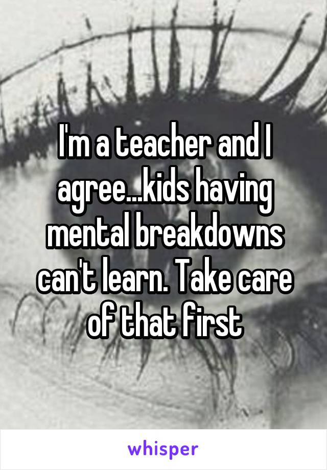 I'm a teacher and I agree...kids having mental breakdowns can't learn. Take care of that first