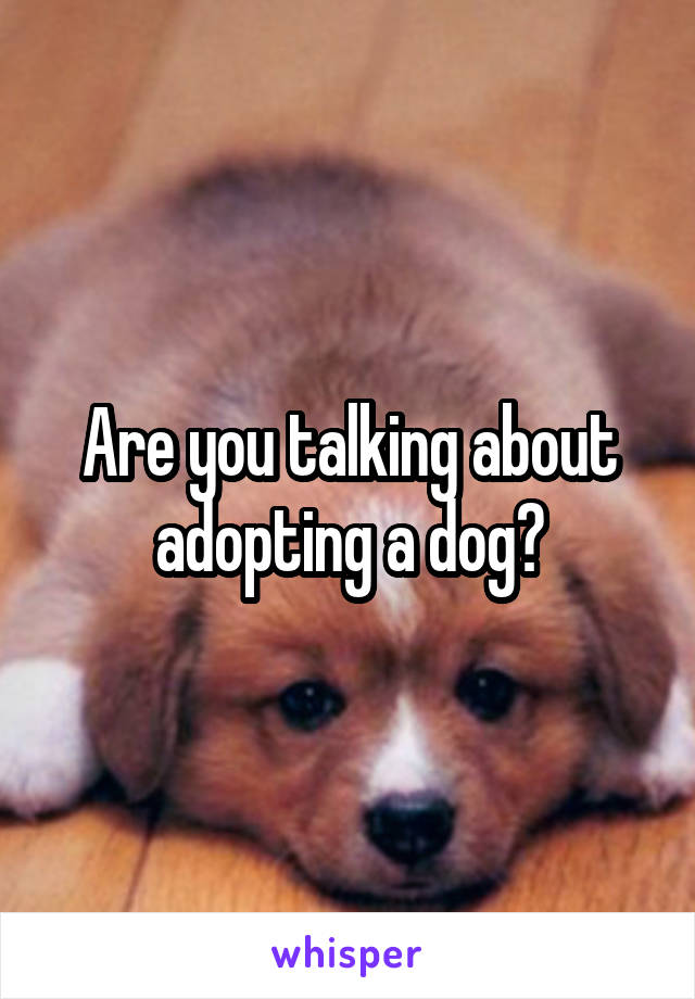 Are you talking about adopting a dog?