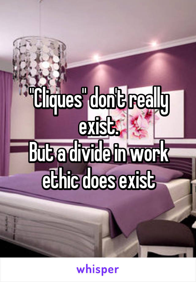 "Cliques" don't really exist.
But a divide in work ethic does exist