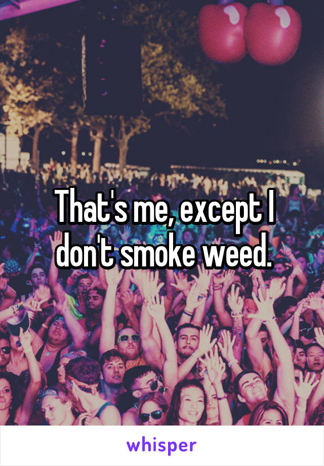 That's me, except I don't smoke weed.