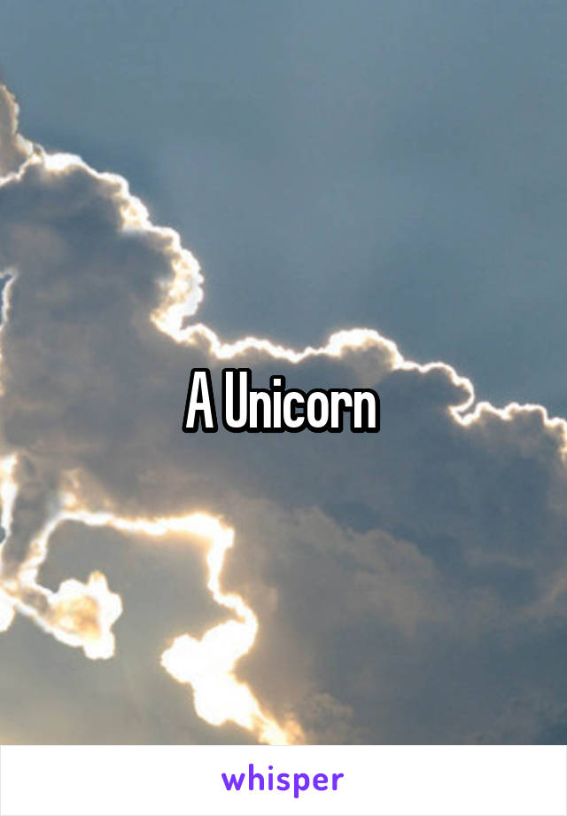 A Unicorn 