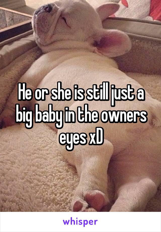 He or she is still just a big baby in the owners eyes xD