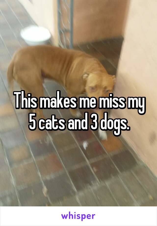 This makes me miss my 5 cats and 3 dogs.