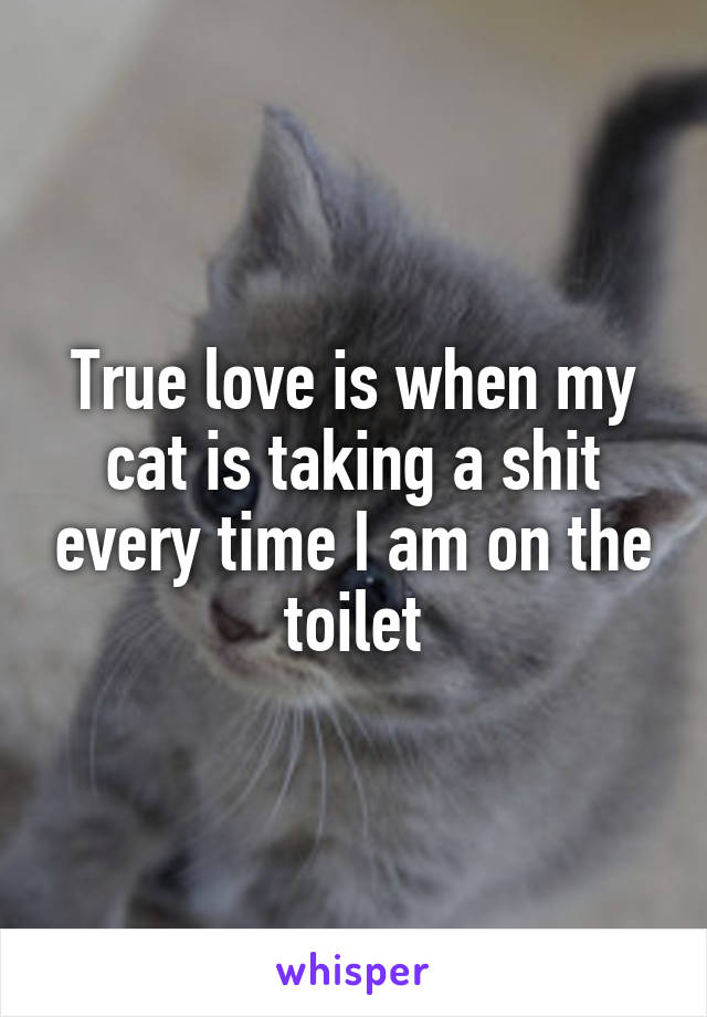 True love is when my cat is taking a shit every time I am on the toilet
