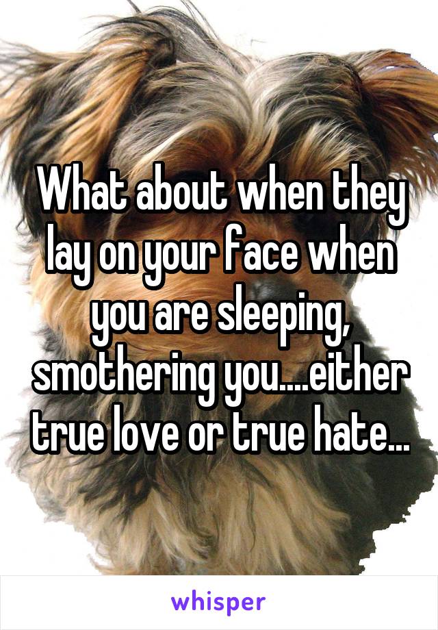 What about when they lay on your face when you are sleeping, smothering you....either true love or true hate...