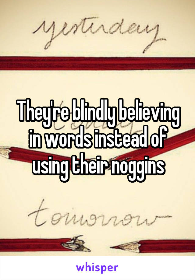 They're blindly believing in words instead of using their noggins