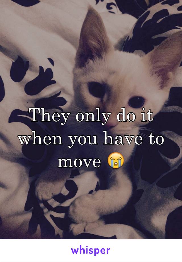 They only do it when you have to move 😭