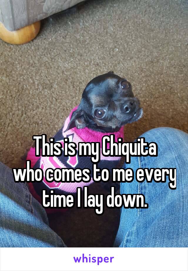 


This is my Chiquita who comes to me every time I lay down.