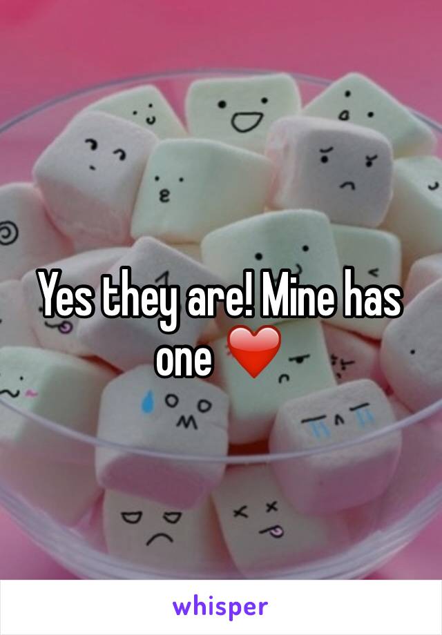 Yes they are! Mine has one ❤️