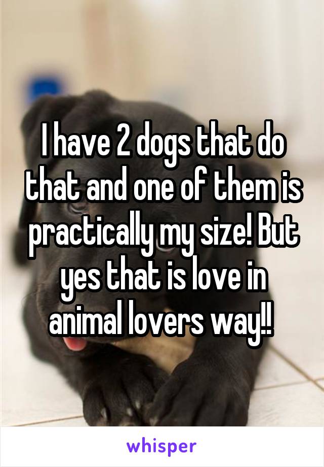 I have 2 dogs that do that and one of them is practically my size! But yes that is love in animal lovers way!! 