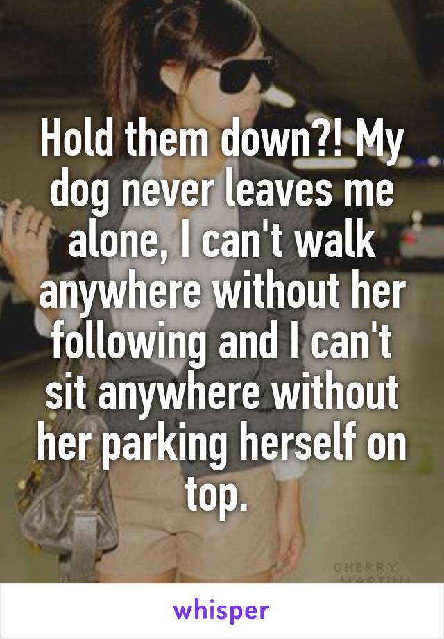 Hold them down?! My dog never leaves me alone, I can't walk anywhere without her following and I can't sit anywhere without her parking herself on top. 