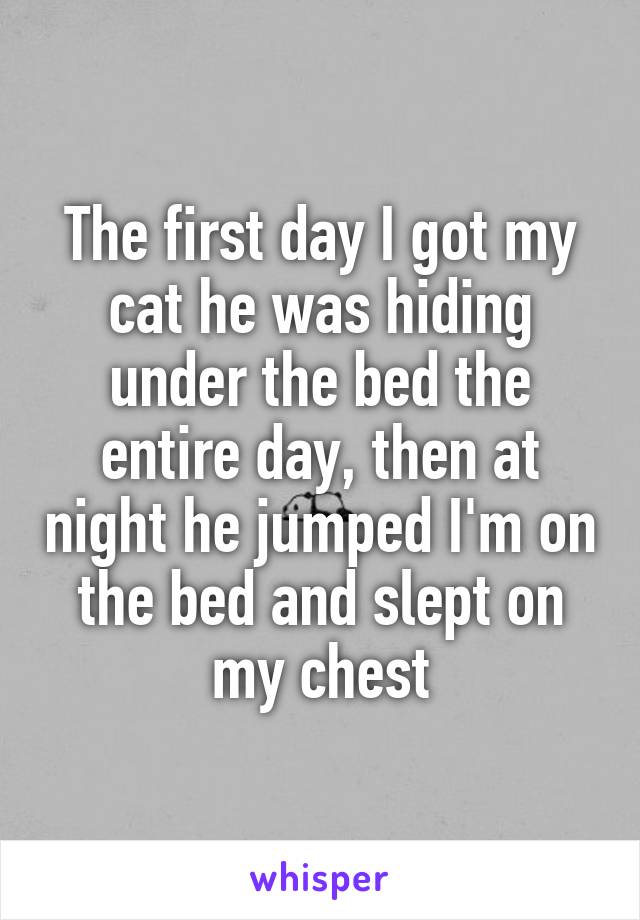 The first day I got my cat he was hiding under the bed the entire day, then at night he jumped I'm on the bed and slept on my chest
