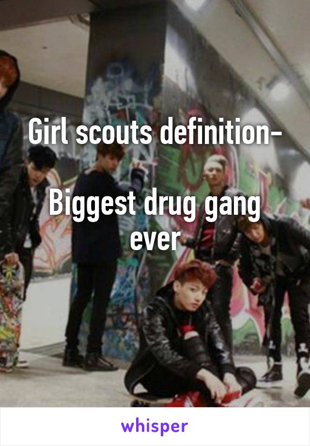 Girl scouts definition-

Biggest drug gang ever

