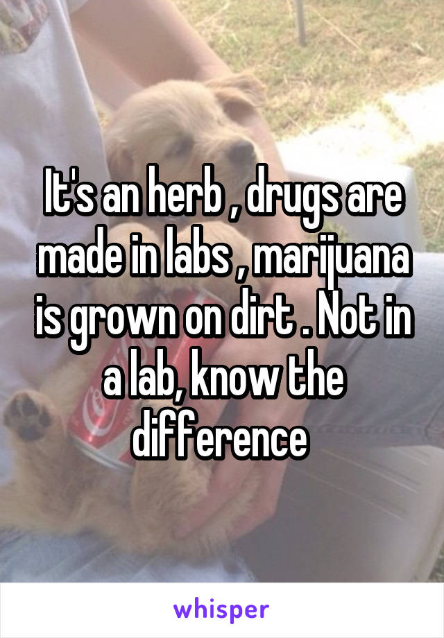 It's an herb , drugs are made in labs , marijuana is grown on dirt . Not in a lab, know the difference 