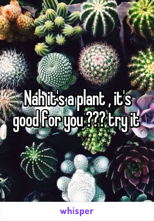 Nah it's a plant , it's good for you ✌🏽️ try it 