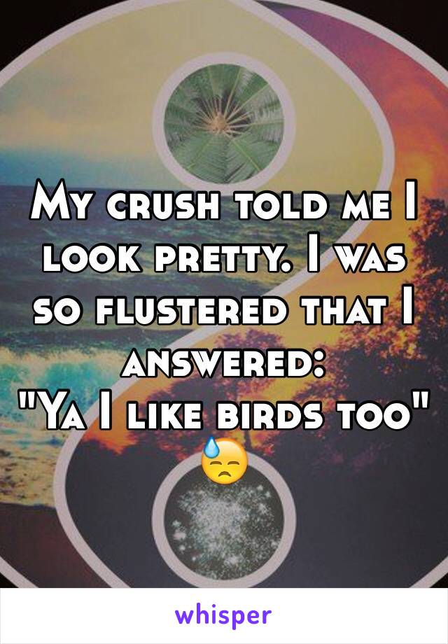 My crush told me I look pretty. I was so flustered that I answered:
"Ya I like birds too"
😓