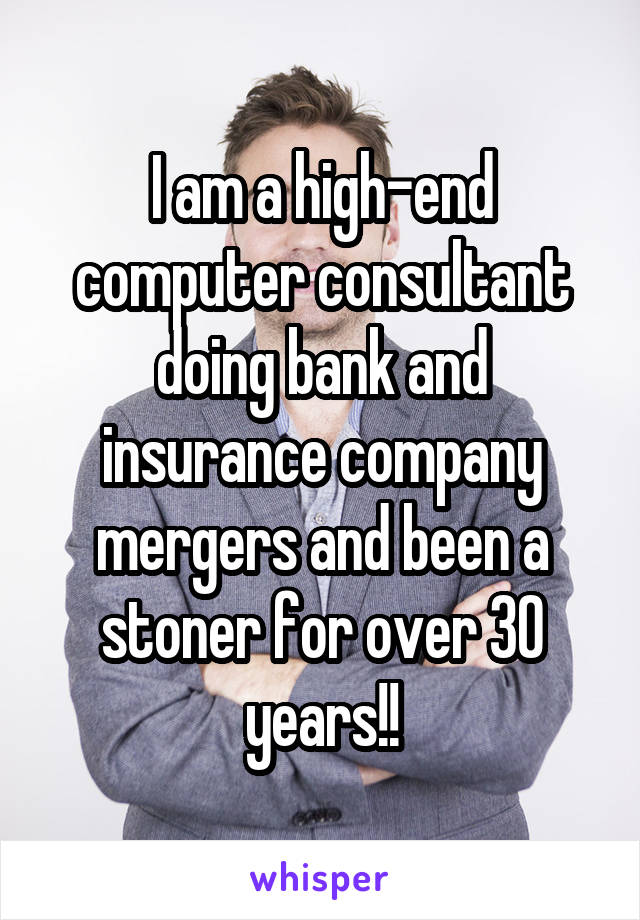 I am a high-end computer consultant doing bank and insurance company mergers and been a stoner for over 30 years!!