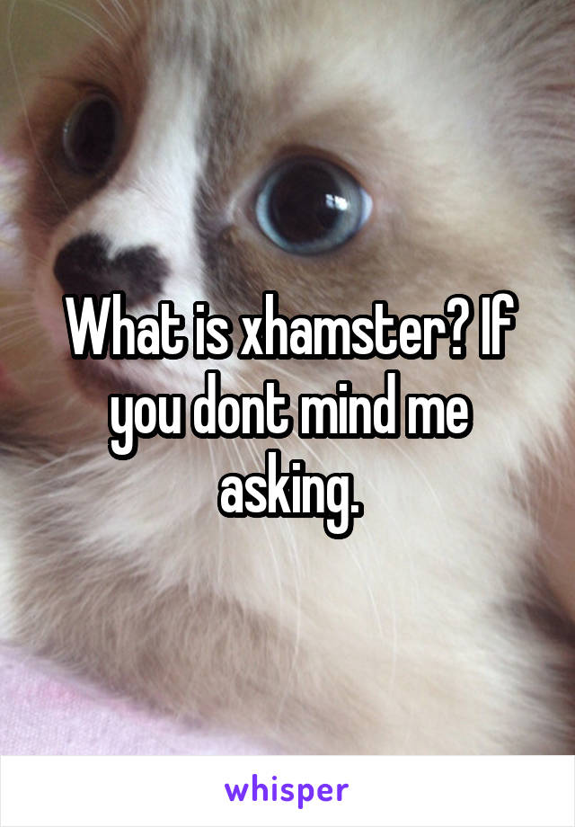 What Is X Hamster