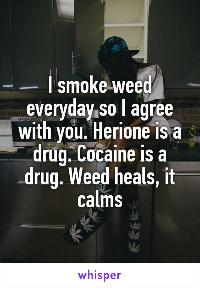 I smoke weed everyday so I agree with you. Herione is a drug. Cocaine is a drug. Weed heals, it calms