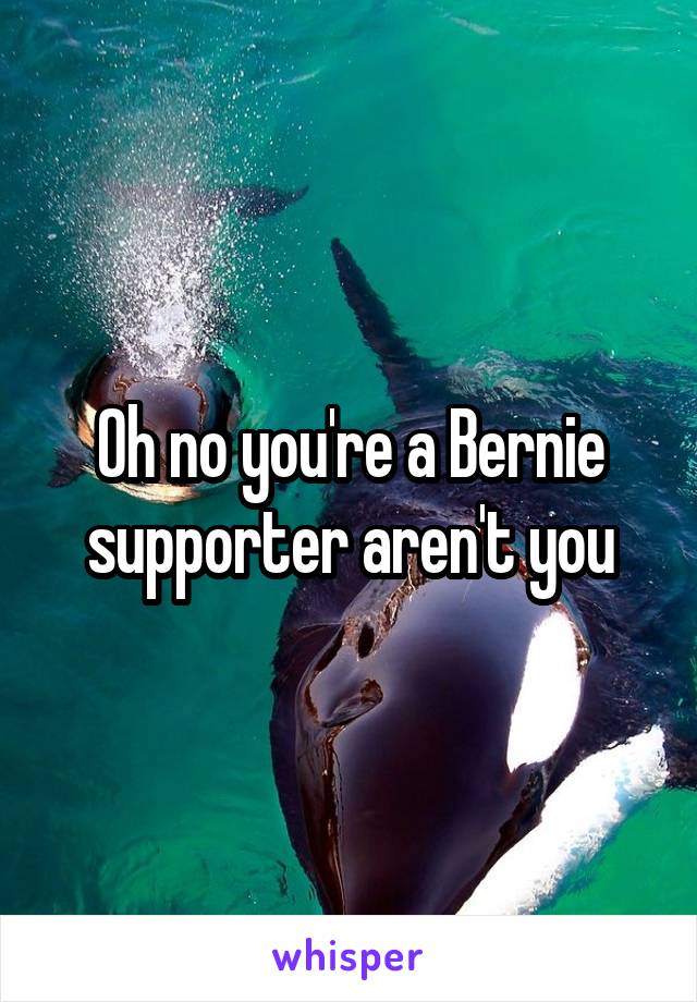Oh no you're a Bernie supporter aren't you
