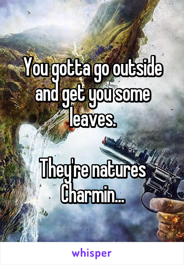 You gotta go outside and get you some leaves.

They're natures Charmin...