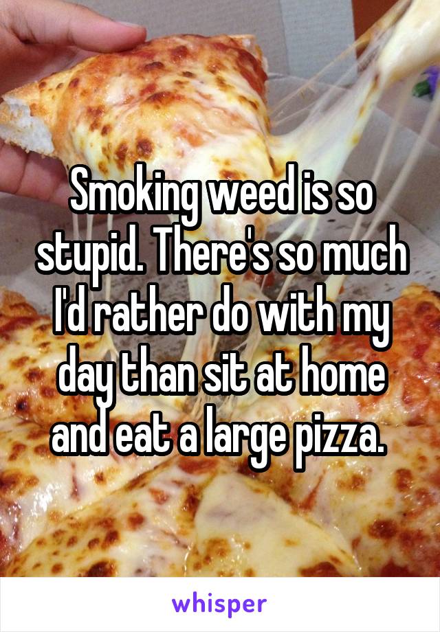 Smoking weed is so stupid. There's so much I'd rather do with my day than sit at home and eat a large pizza. 