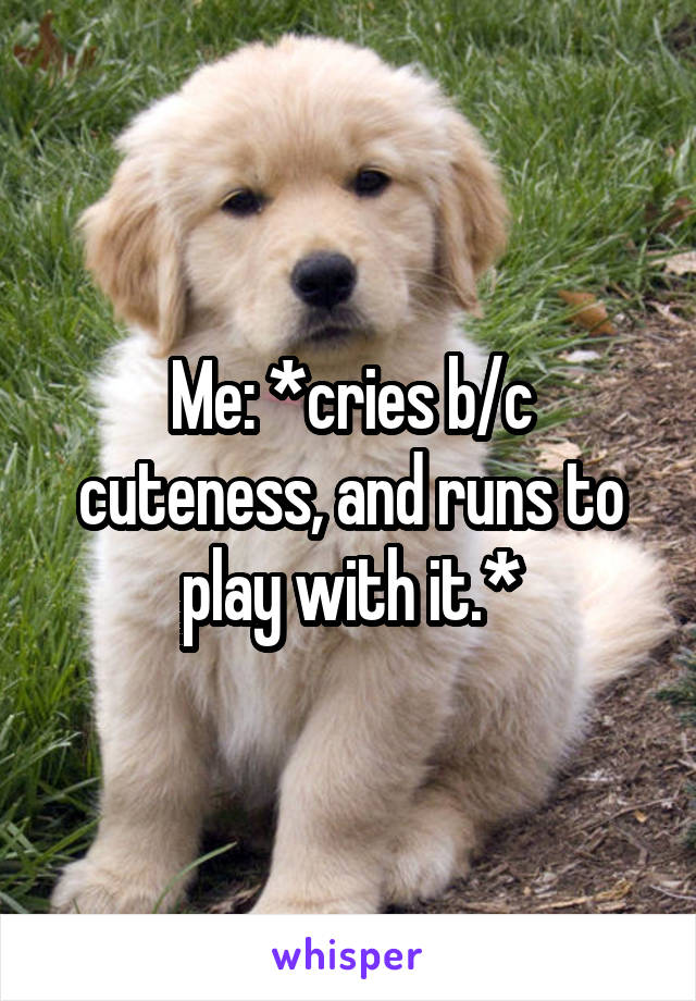 Me: *cries b/c cuteness, and runs to play with it.*