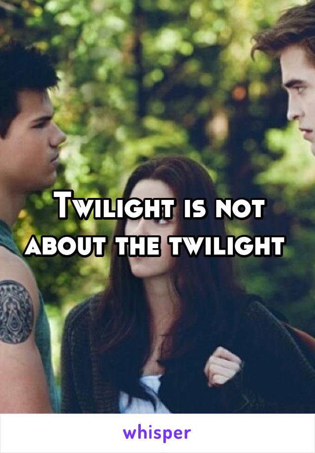 Twilight is not about the twilight 