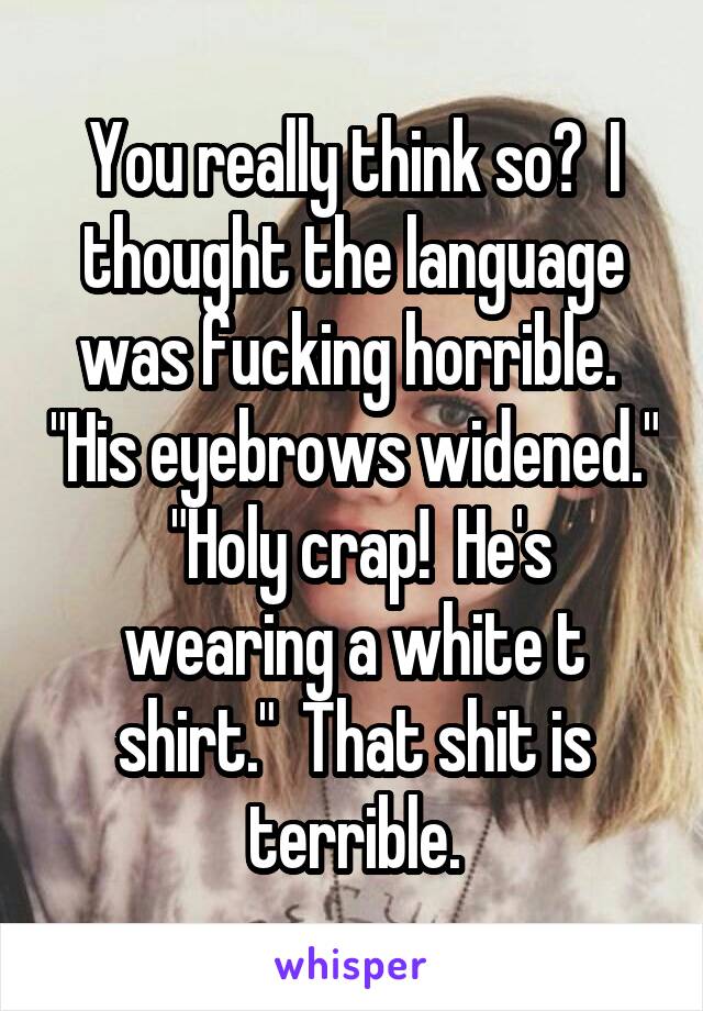 You really think so?  I thought the language was fucking horrible.  "His eyebrows widened."  "Holy crap!  He's wearing a white t shirt."  That shit is terrible.