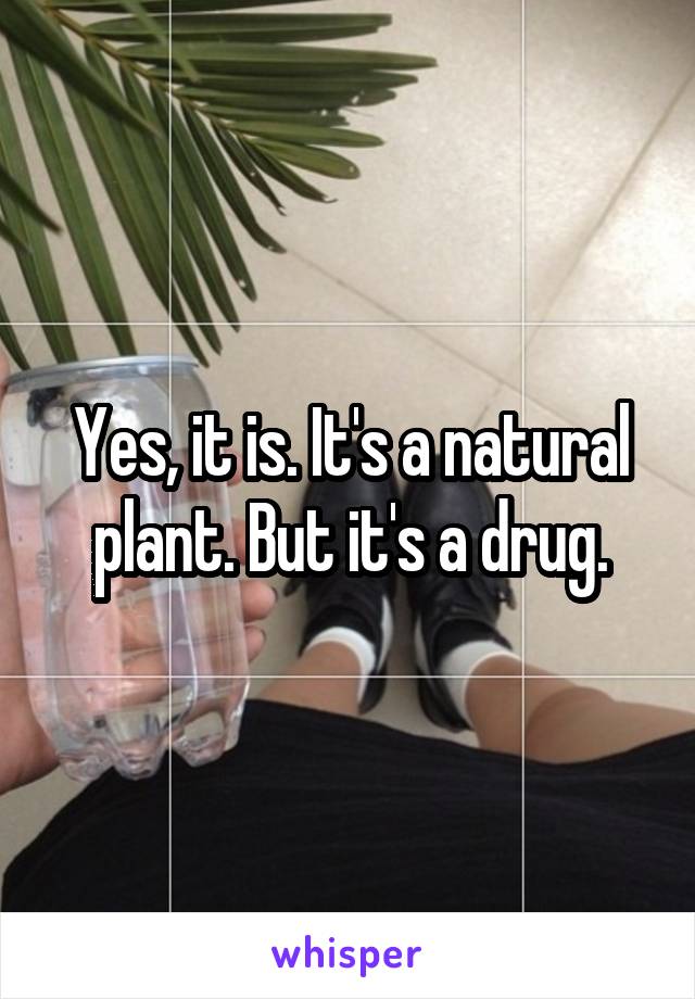 Yes, it is. It's a natural plant. But it's a drug.