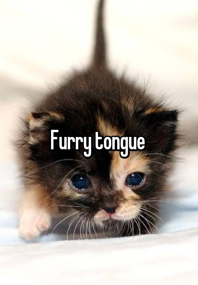 furry-tongue