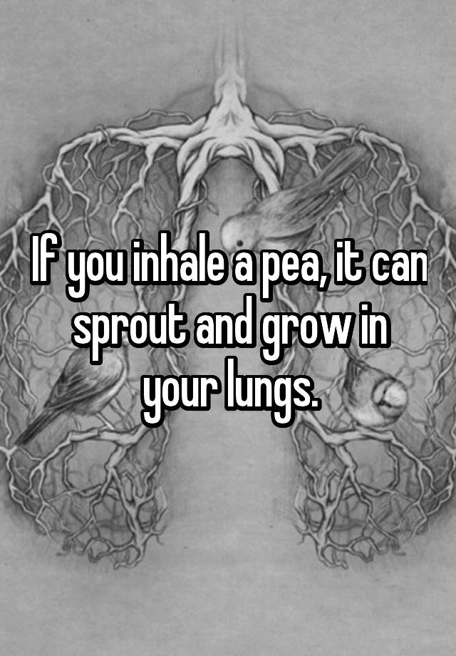 if-you-inhale-a-pea-it-can-sprout-and-grow-in-your-lungs