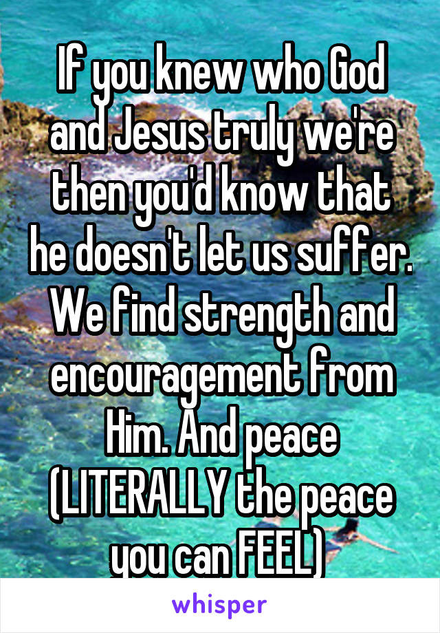 If you knew who God and Jesus truly we're then you'd know that he doesn't let us suffer. We find strength and encouragement from Him. And peace (LITERALLY the peace you can FEEL) 