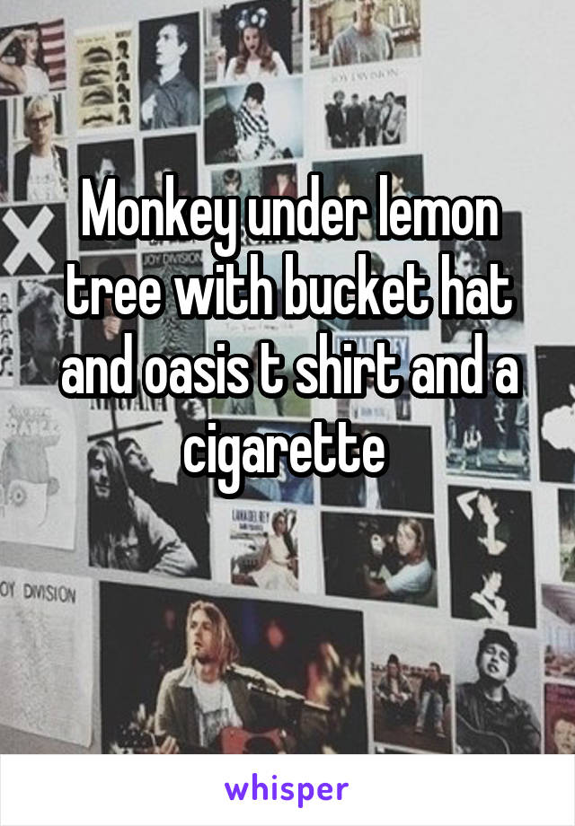 Monkey under lemon tree with bucket hat and oasis t shirt and a cigarette 

