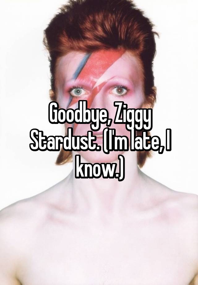 Goodbye Ziggy Stardust Im Late I Know 1984